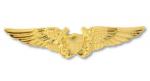 Navy Badge - Navy Flight Officer