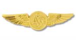 Navy Badge - Air Crewman