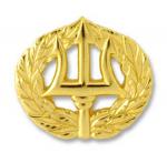 Navy Badge - Command Ashore