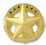 Navy Badge - Command at Sea