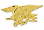 Navy Badge - Special Warfare
