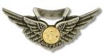 Navy Badge - Combat Air Crew
